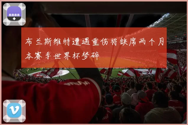 布兰斯维特遭遇重伤将缺席两个月本赛季世界杯梦碎